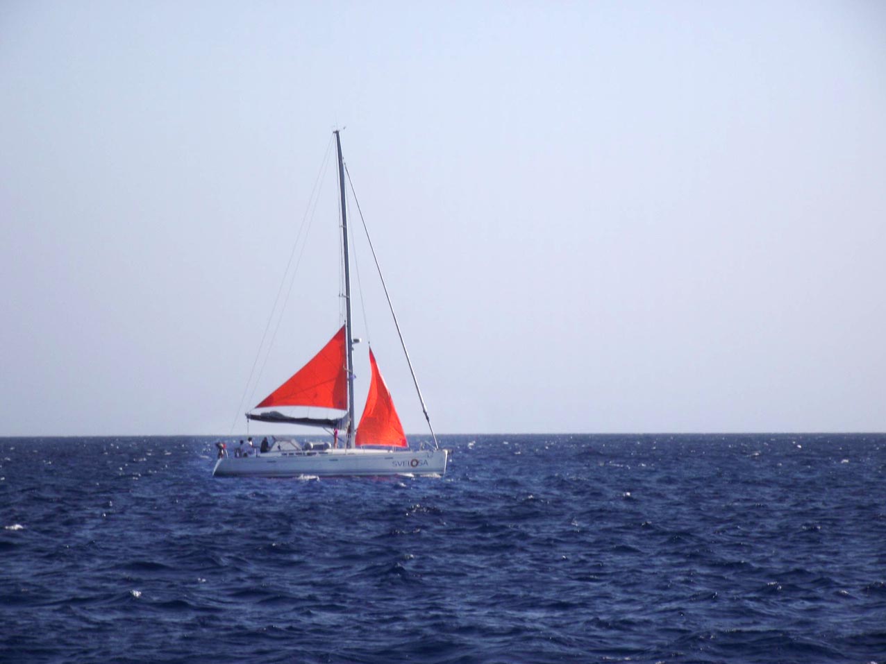 [Immagine: 2012414184318_svelosa cappa.jpg]